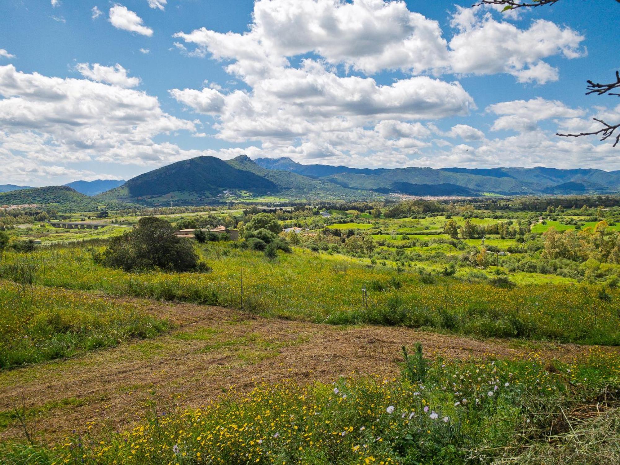 Agriturismo Guparza Позада Екстериор снимка