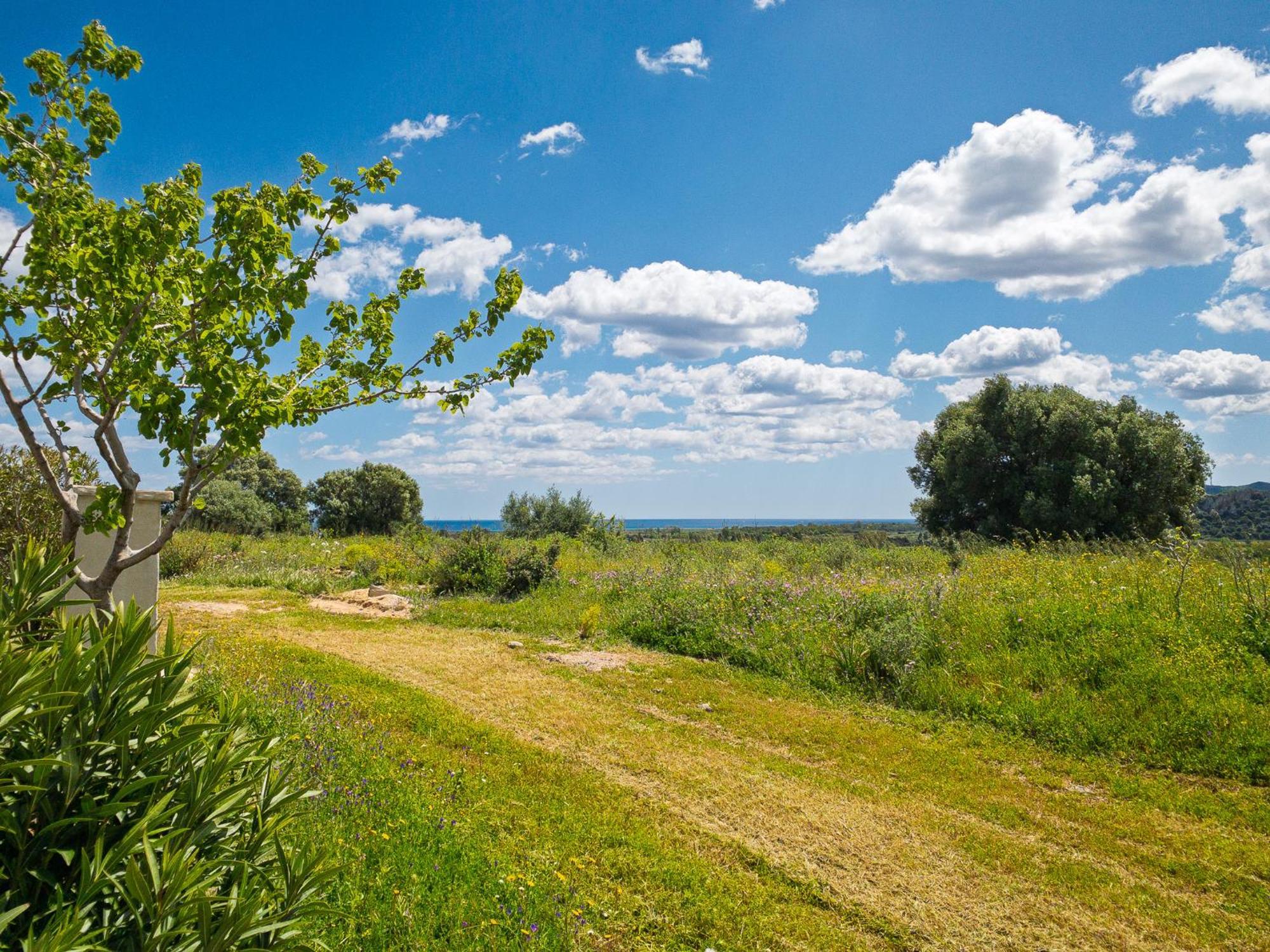 Agriturismo Guparza Позада Екстериор снимка