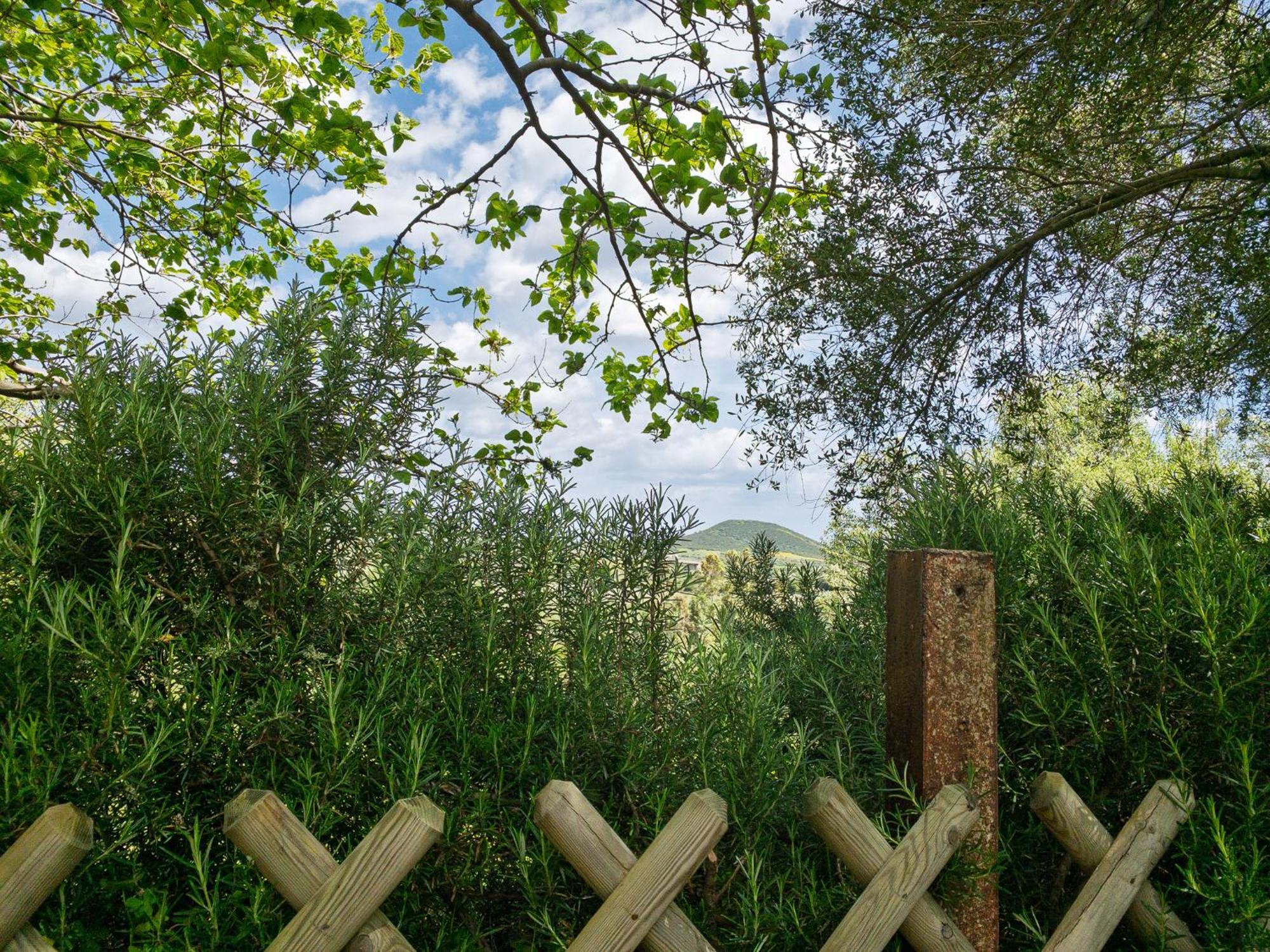 Agriturismo Guparza Позада Екстериор снимка