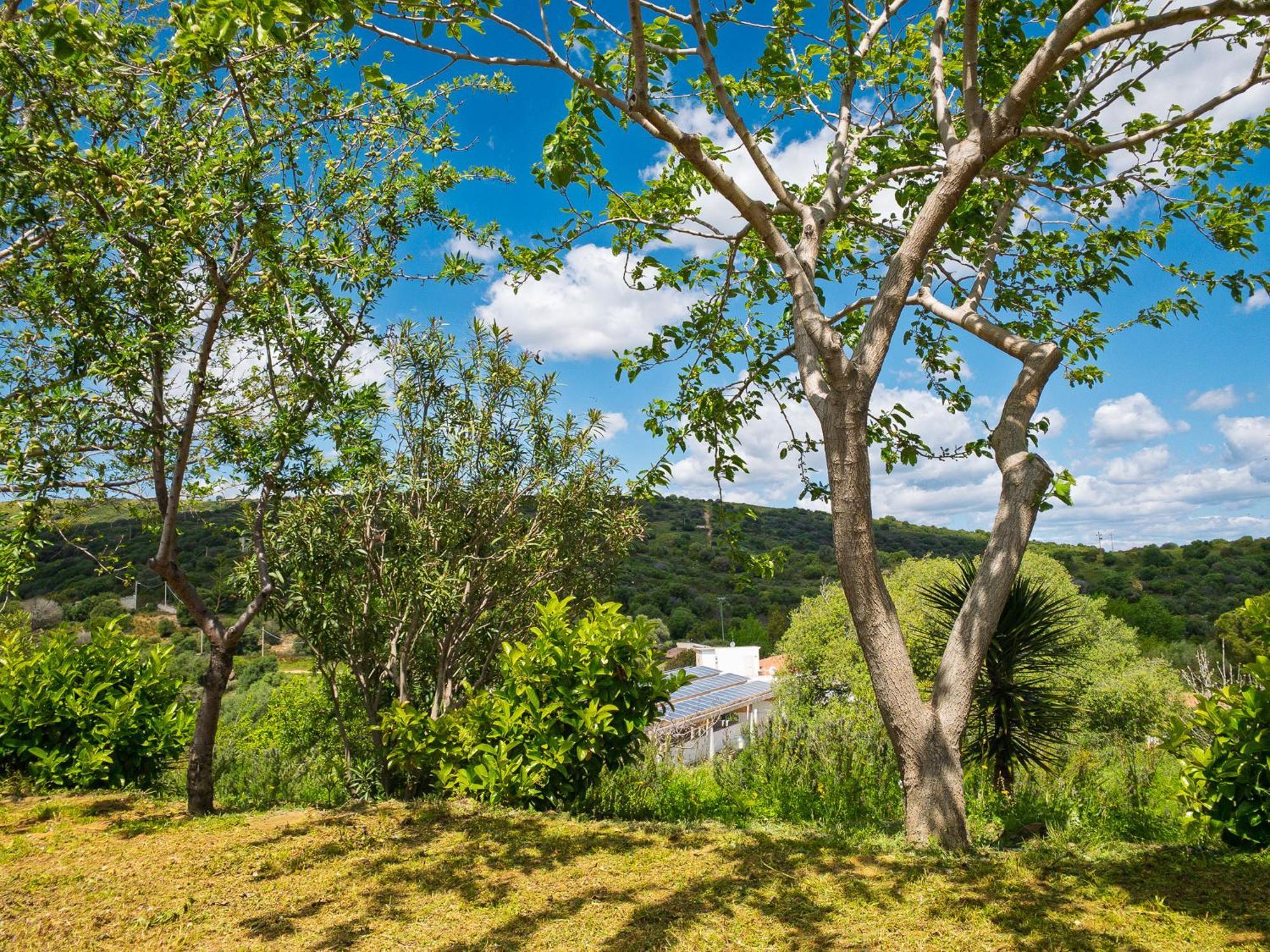 Agriturismo Guparza Позада Екстериор снимка