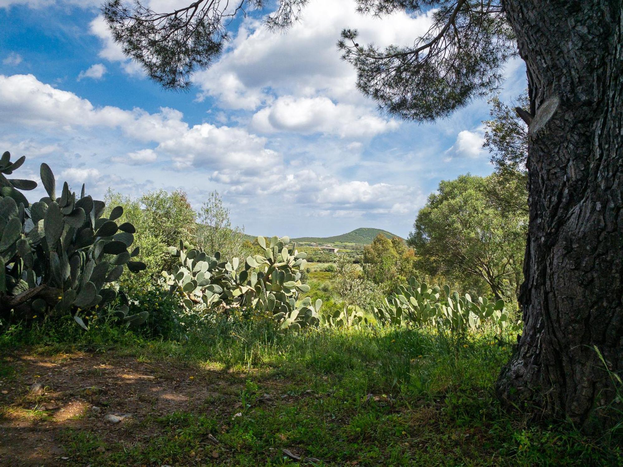 Agriturismo Guparza Позада Екстериор снимка